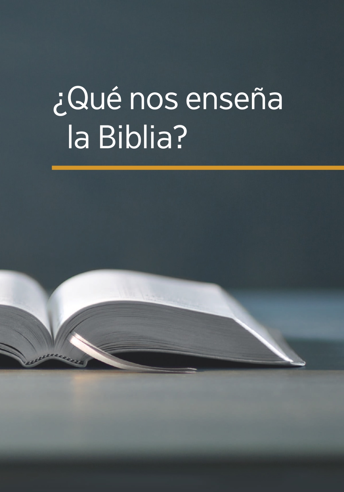 An libro ¿Qué nos enseña la Biblia?