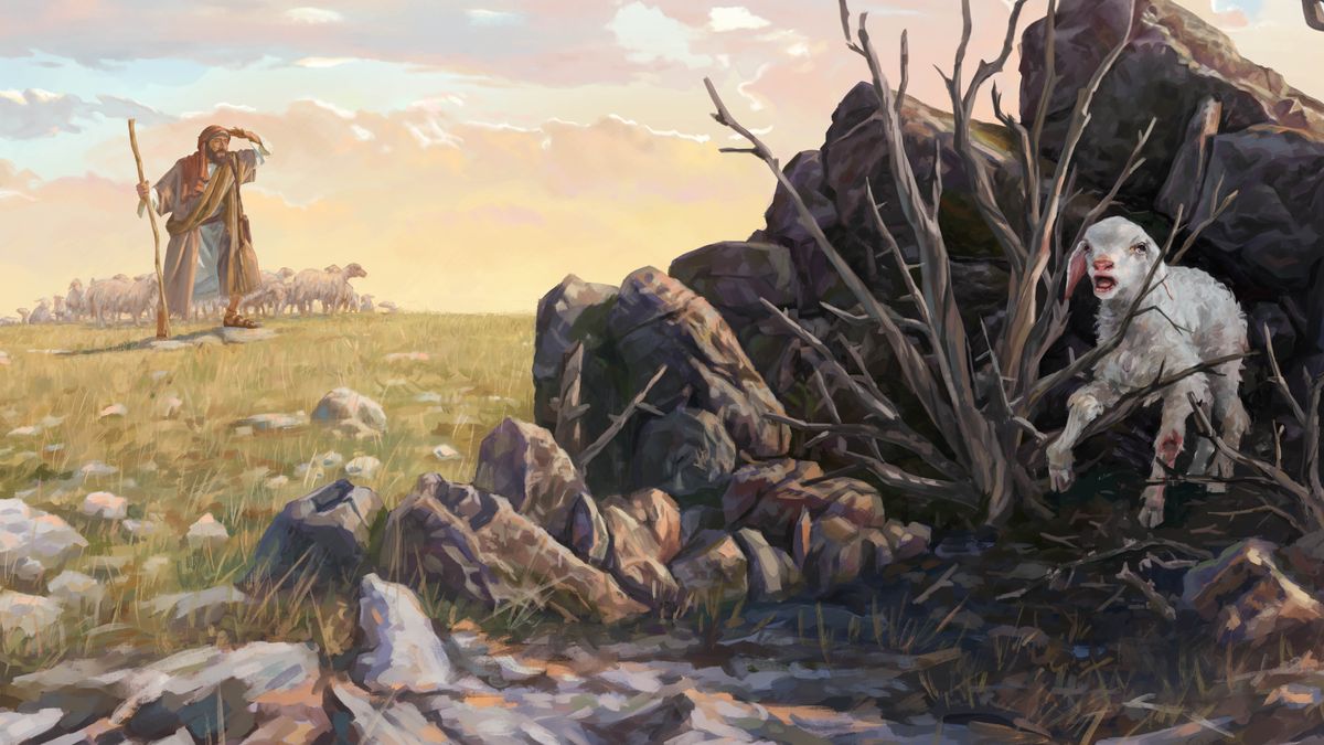 One sheep guy wit his flock, looking fo one los sheep. Da los sheep stay trap in one bush an his leg stay buss up.