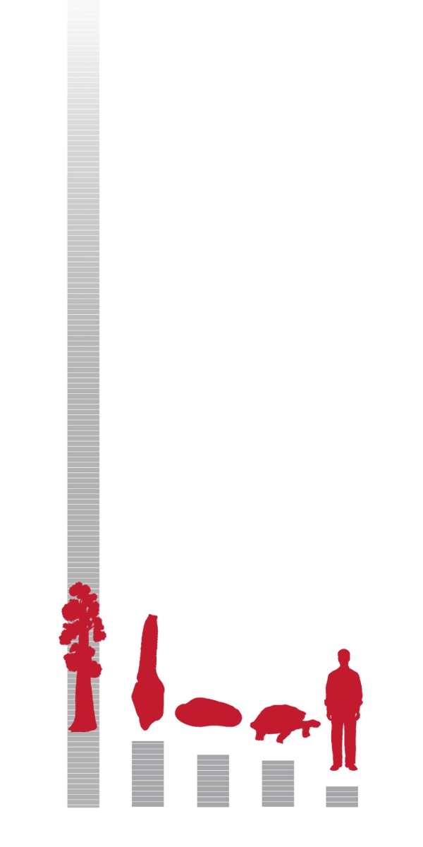 [Grafik di hlm. 6]