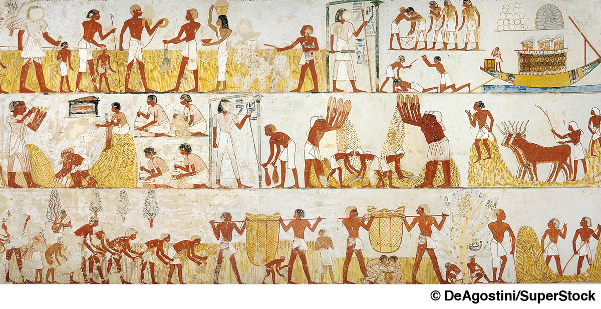 [Gambar di hlm. 1334]