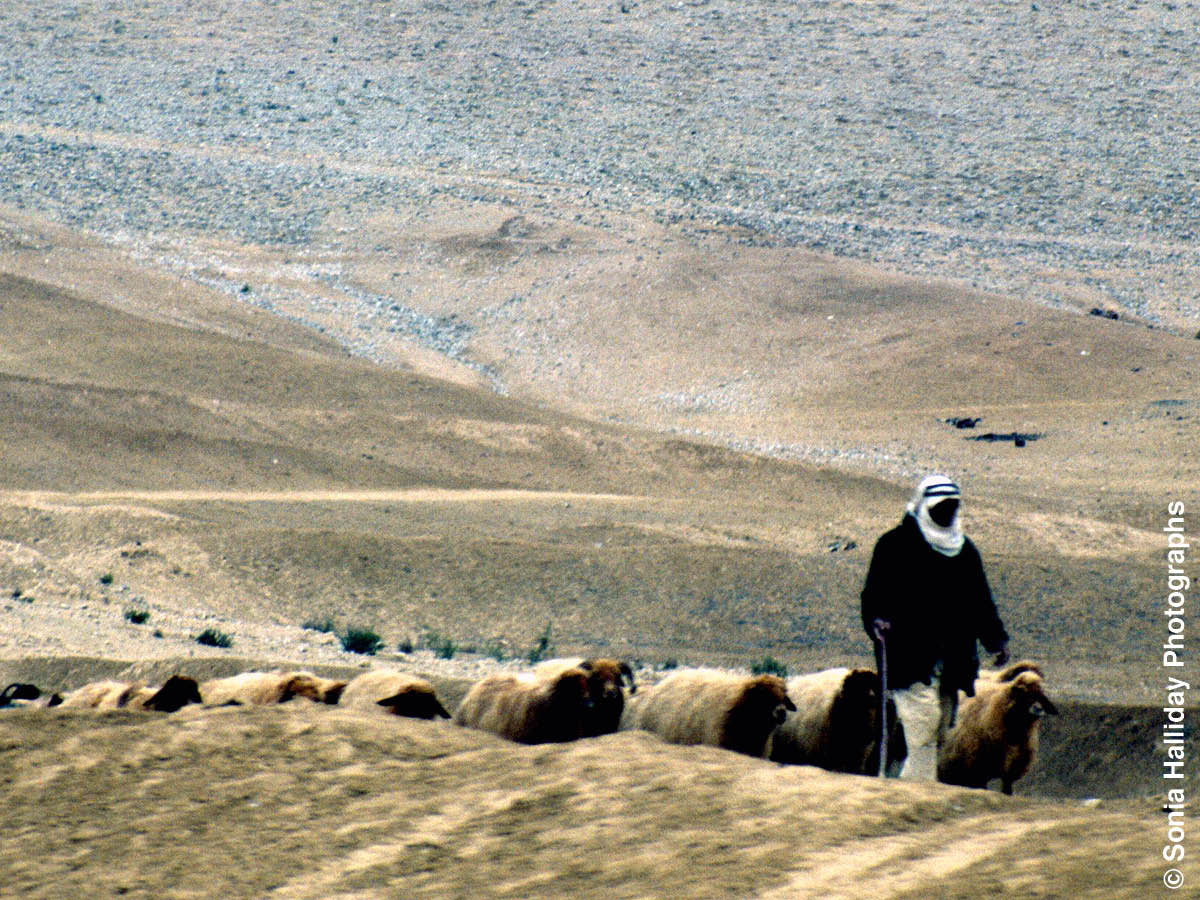 [Ladawan iti panid 954]