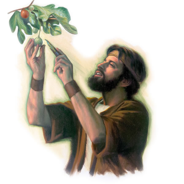 Ladawan iti panid 18