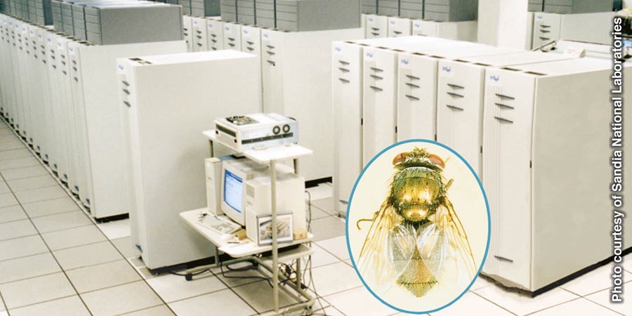 Neural-network a kompiuter ken ngilaw