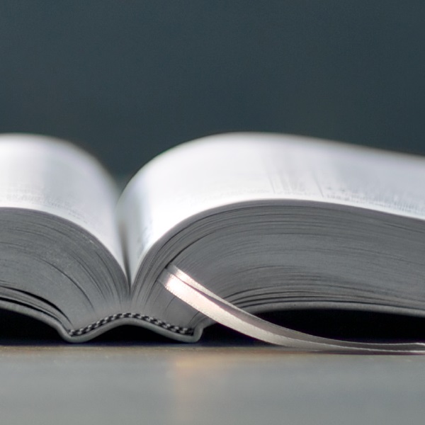 The book ‘What Can the Bible Teach Us?’