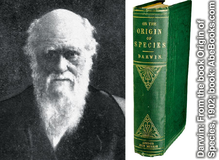Charles Darwin og bók hans Uppruni tegundanna.