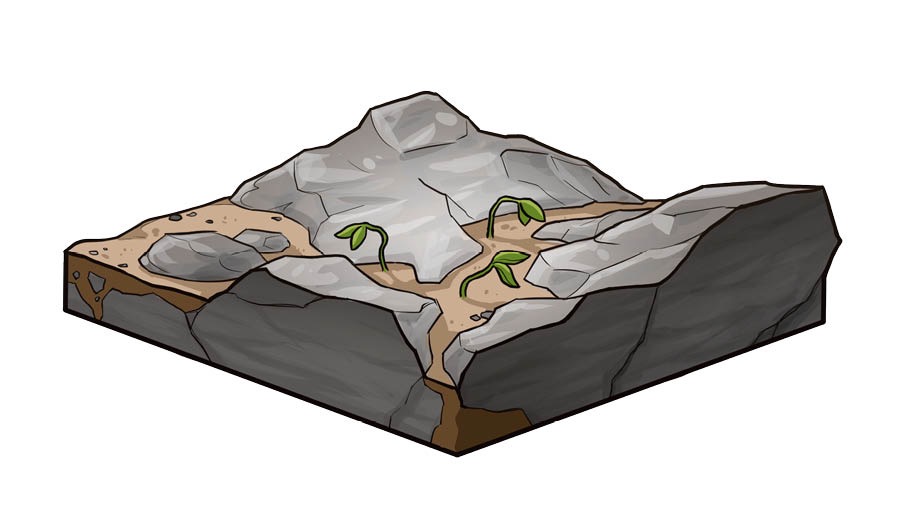 Grýttur jarðvegur.
