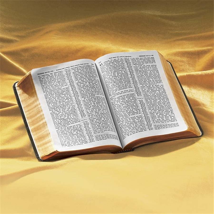 Cosa insegna realmente la Bibbia?