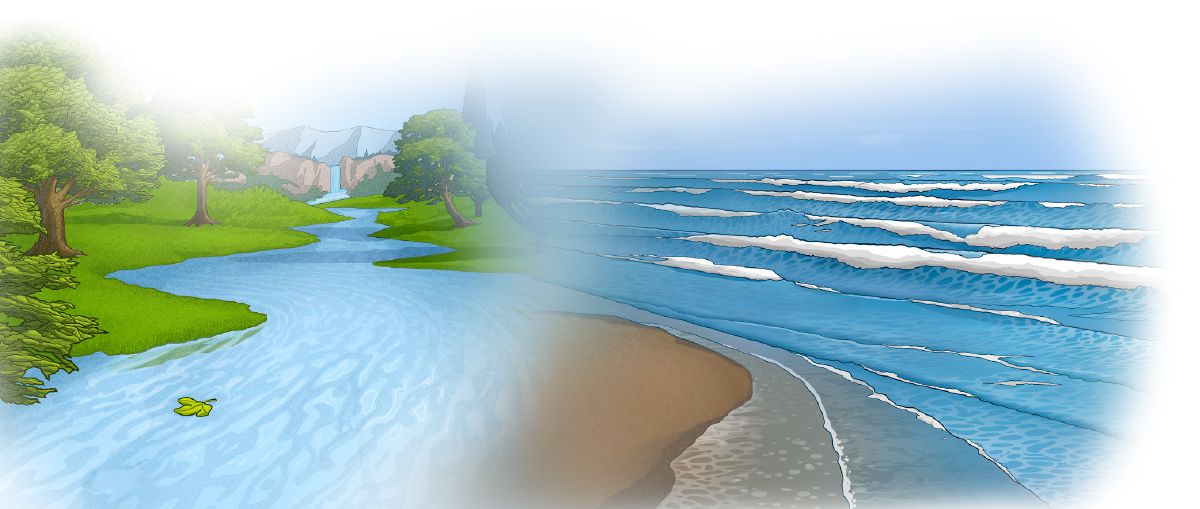 Fiume che scorre in un bosco e onde del mare