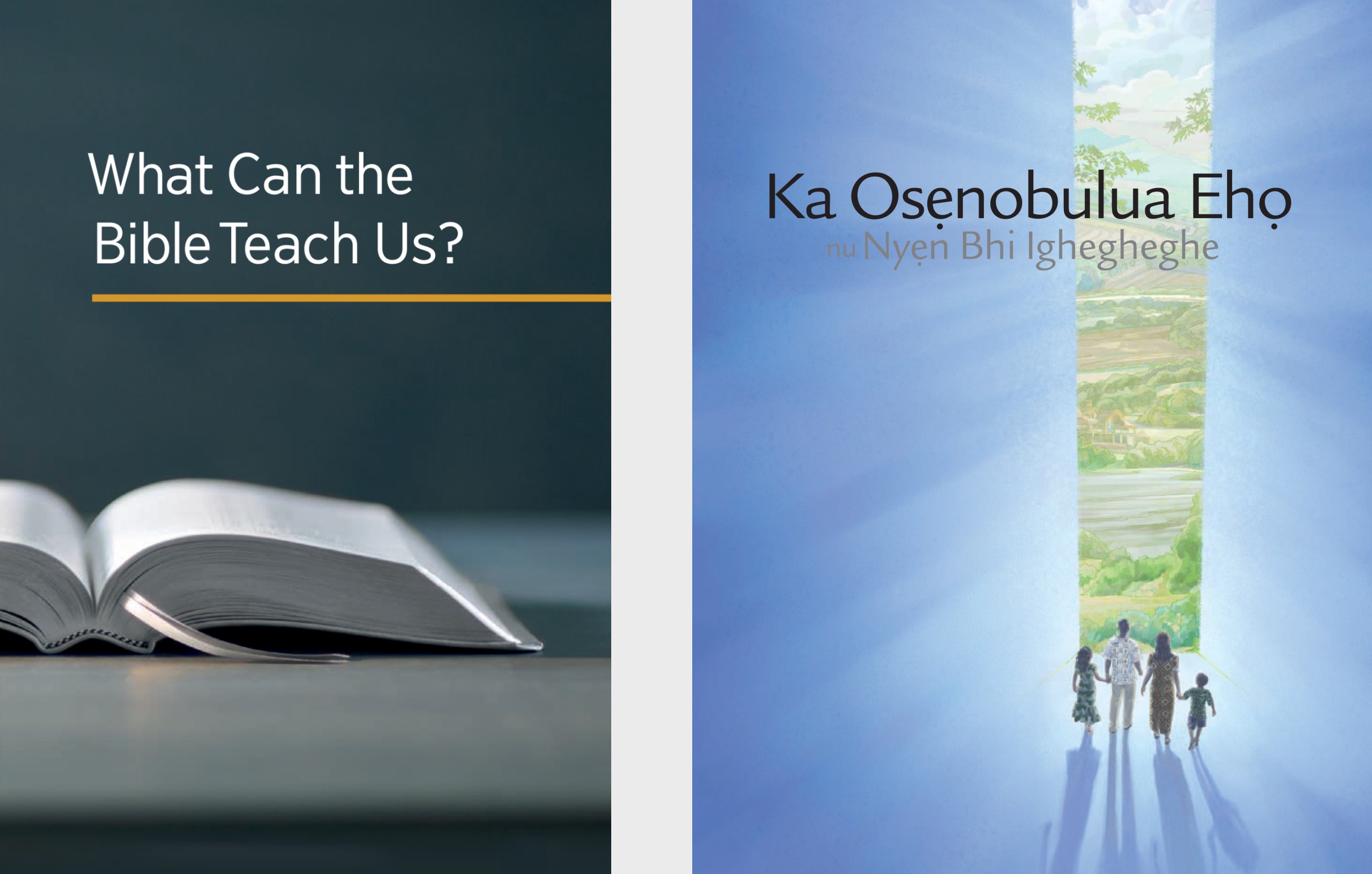 The book ‘What Can the Bible Teach Us?’ and the brochure ‘Listen to God and Live Forever.’