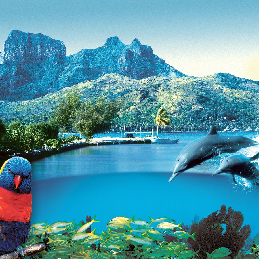 La creazione di Dio: montagne, un lago, pesci, delfini, uccelli e alberi
