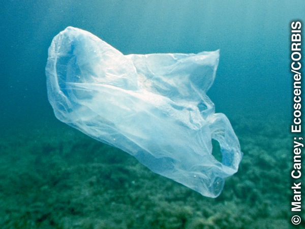 Busta di plastica nel mare
