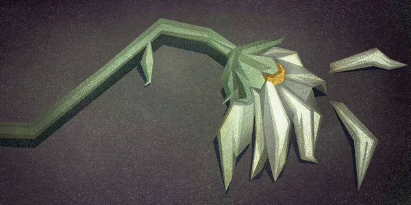 Fiore appassito