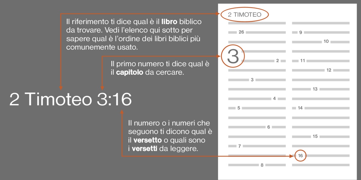 Libri biblici, capitoli e versetti