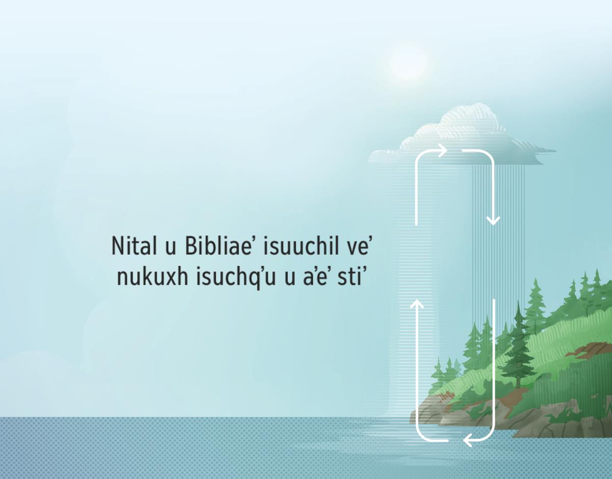 Nital u Bibliaeʼ isuuchil veʼ nukuxh isuchqʼu u aʼeʼ stiʼ. Kaʼl unqʼa flecha veʼ nukuxh isuchqʼu stiʼ. Nikʼucheʼ kam nitulbʼe u aʼeʼ ijeʼeʼ tu almikaʼ as kam ikuʼchuʼl umpajte.