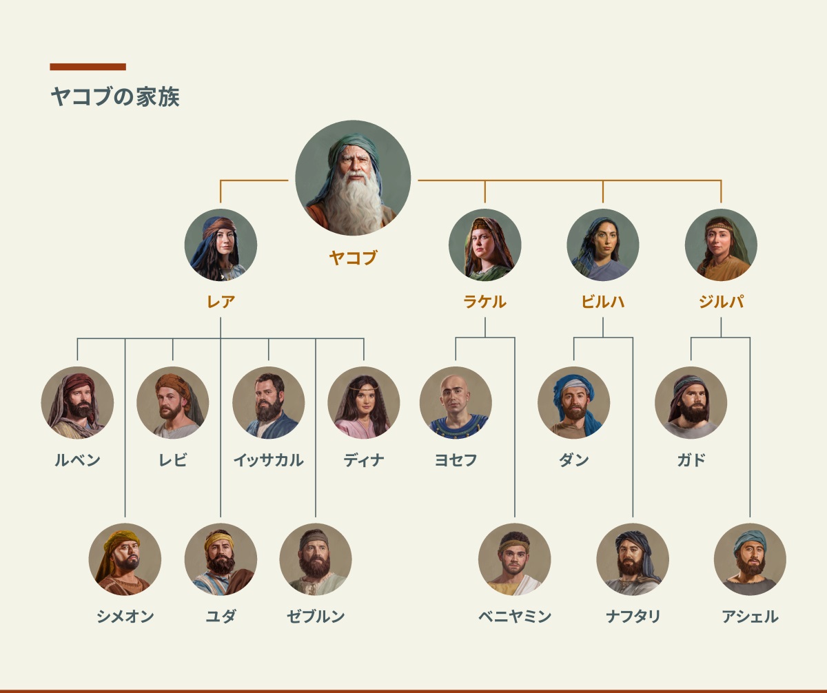 ヤコブの家系図。ヤコブの妻はレアとラケル，そばめはビルハとジルパ。レアを通して生まれた子は，ルベン，シメオン，レビ，ユダ，イッサカル，ゼブルン，ディナ。ラケルを通して生まれた子は，ヨセフとベニヤミン。ビルハを通して生まれた子は，ダンとナフタリ。ジルパを通して生まれた子は，ガドとアシェル。