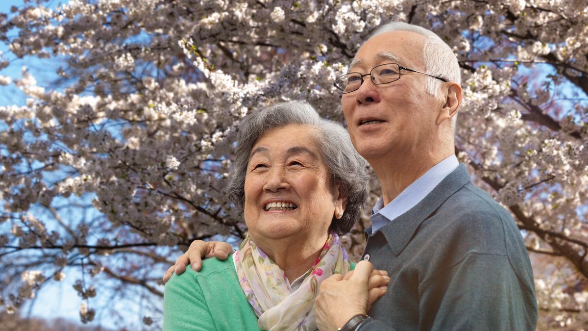 先ほどの写真の夫婦が寄り添い，笑顔を浮かべて満開の桜の木の下に立っている。