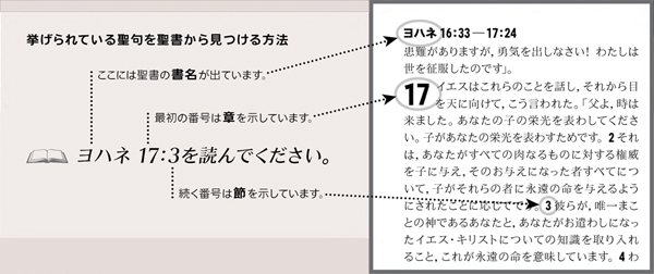 挙げられている聖句の例