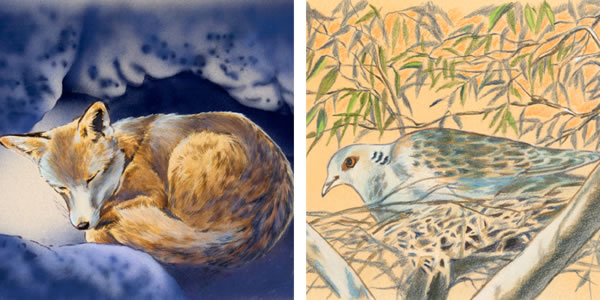 1. Rubah ing erongé; 2. Manuk ing susuhé