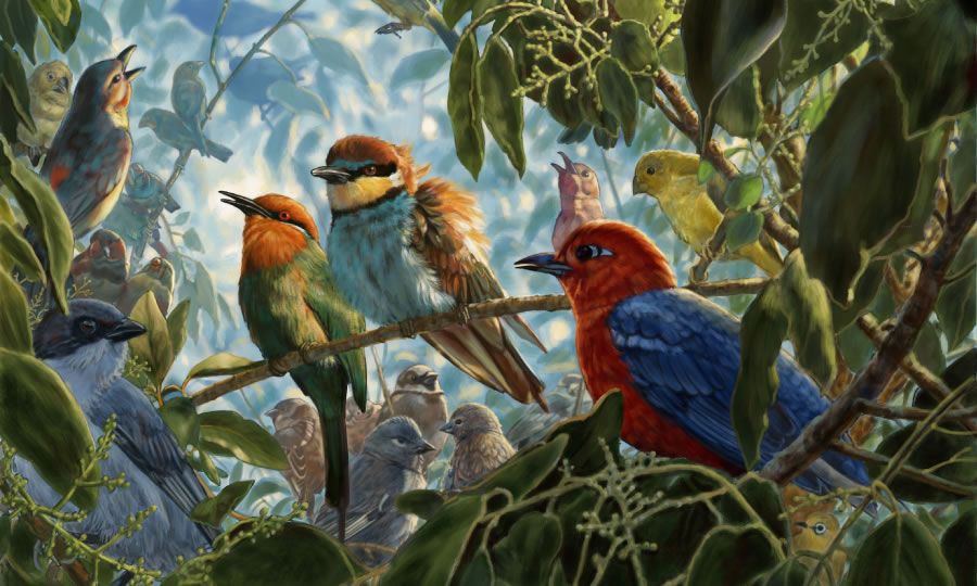 Manuk sing jinisé werna-werna éntuk pangayoman saka wit gedhé