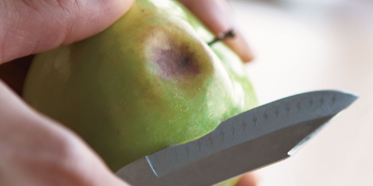 Bagéan buah sing bosok