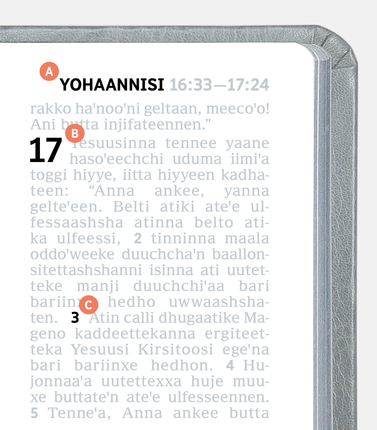 Beesisi A, B nna C Maxaafa Qullichcha bannaa qico kulaan.