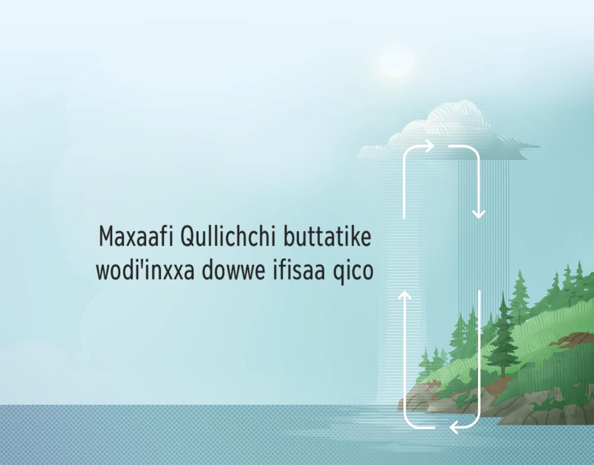 Maxaafi Qullichchi buttatike wodiꞌixxa dowwe ifisaa qico. Bageddanji toor buttateꞌninna atimoosiperetixxe oddooꞌn hedheeke wodiꞌixxa dowwe kulaan.