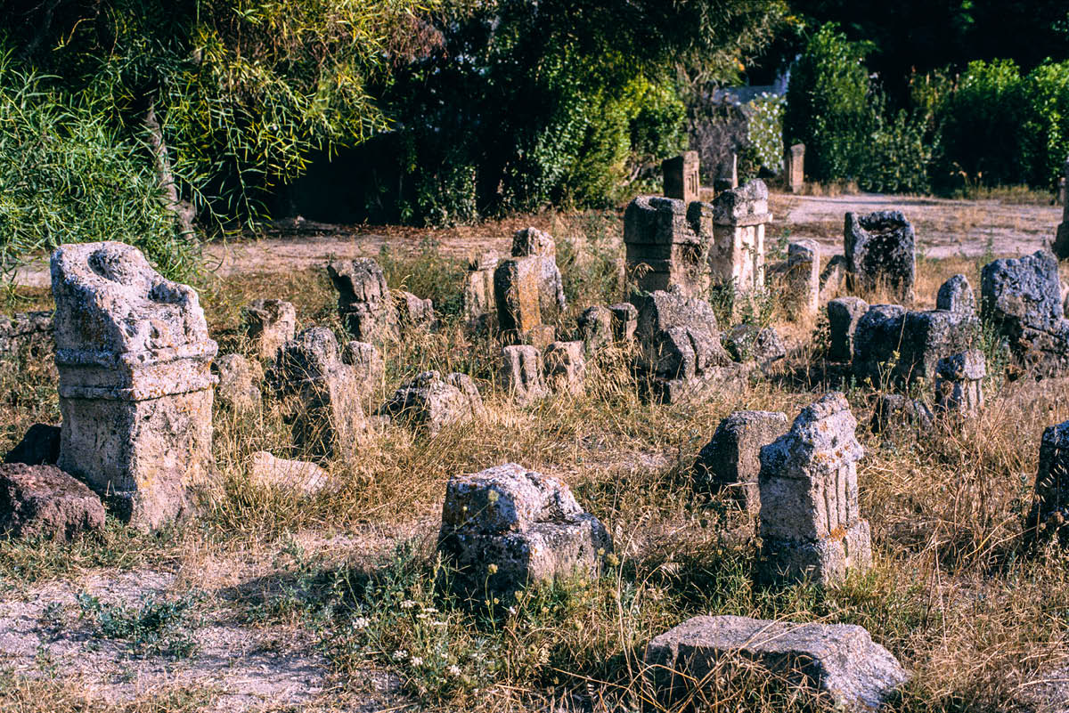 [სურათები]