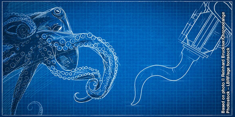 Octopus na kwʼoko kwa lomboti