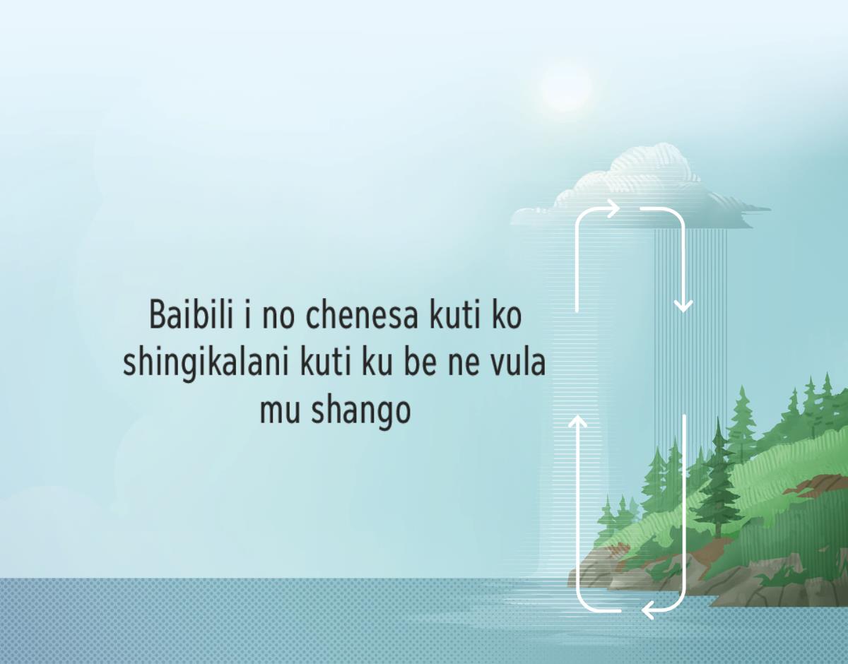 Baibili i no chenesa kuti ko shingikalani kuti ku be ne vula mu shango. Ko lakidziwa se kwa vula i dwa mu shango kunoti pezhugwi ne ku gwilila kakale mu shango.