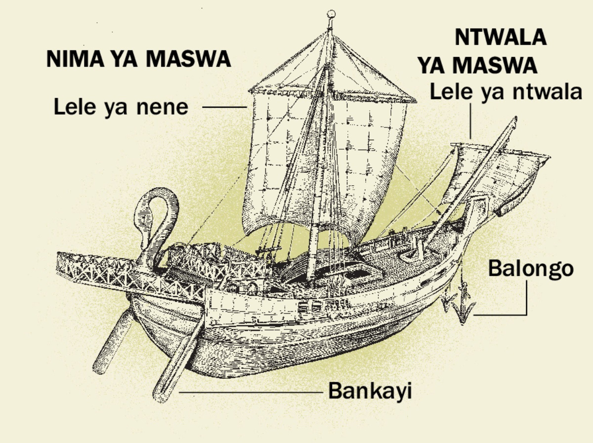 Maswa mosi ya ntangu ya ntama ti bitini na yo iya ya nene banda na nima ya maswa tii na ntwala na yo. 1. Bankayi. 2. Lele ya nene. 3. Balongo. 4. Lele ya ntwala.
