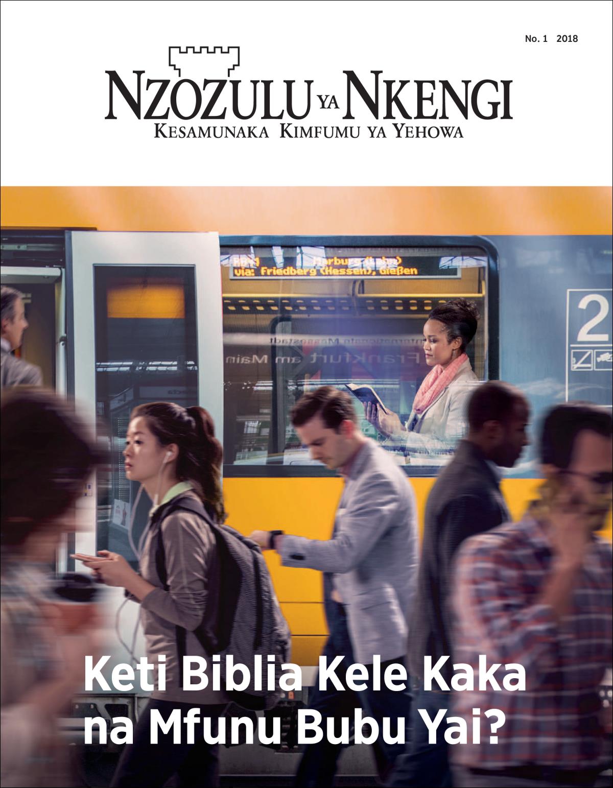 Nzozulu ya Nkengi