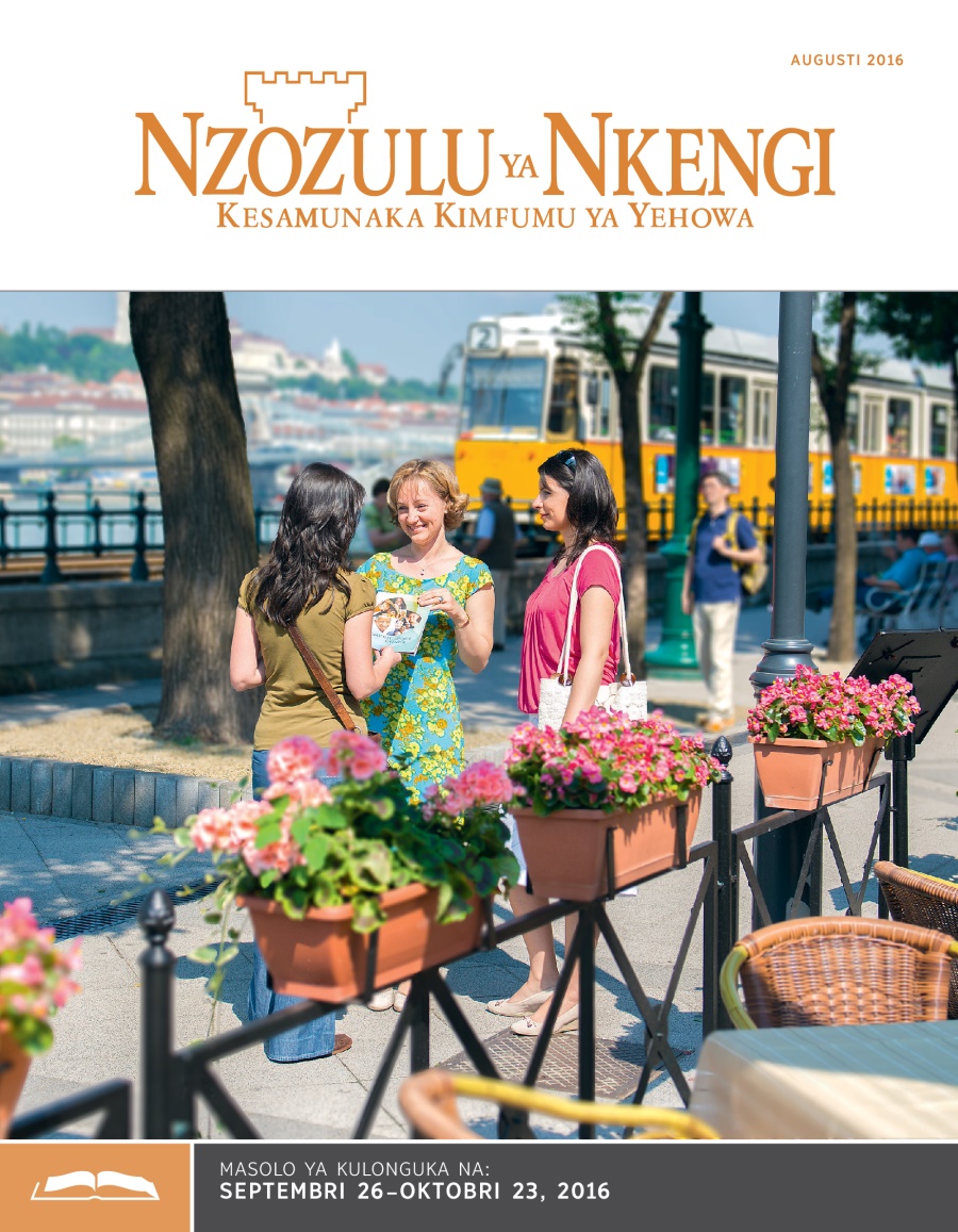 Nzozulu ya Nkengi, Augusti 2016