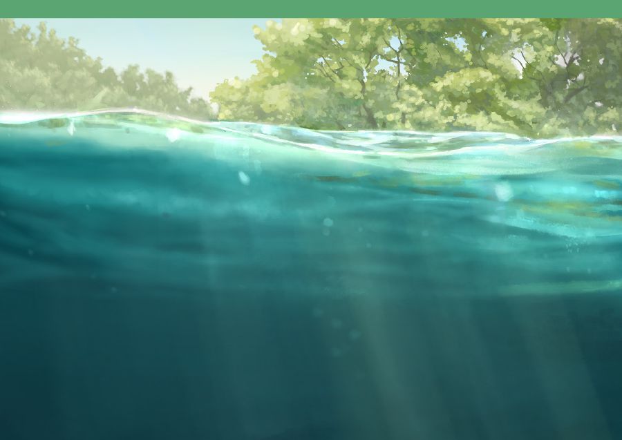 A flowing river