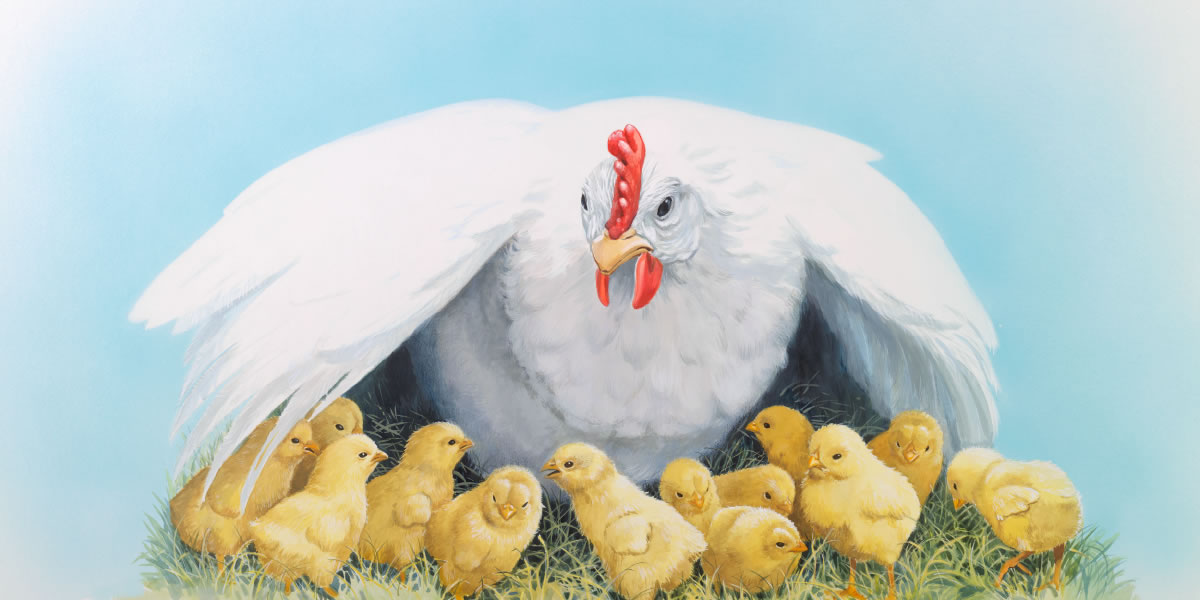 Oxuxwa tai tula ouxuxwena vayo koshi yomavava