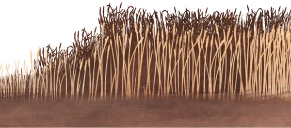 Umwe womovateyi ta ongele eu noku li manga moipandi