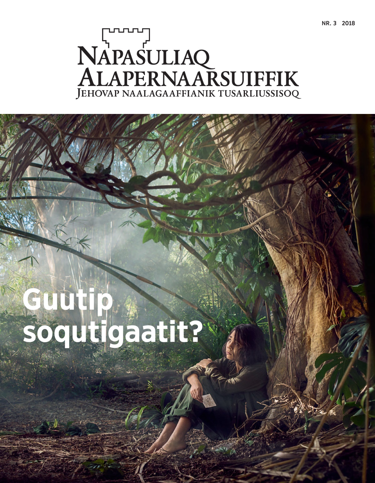 ‘Napasuliaq Alapernaarsuiffik’ nr. 3 2018.