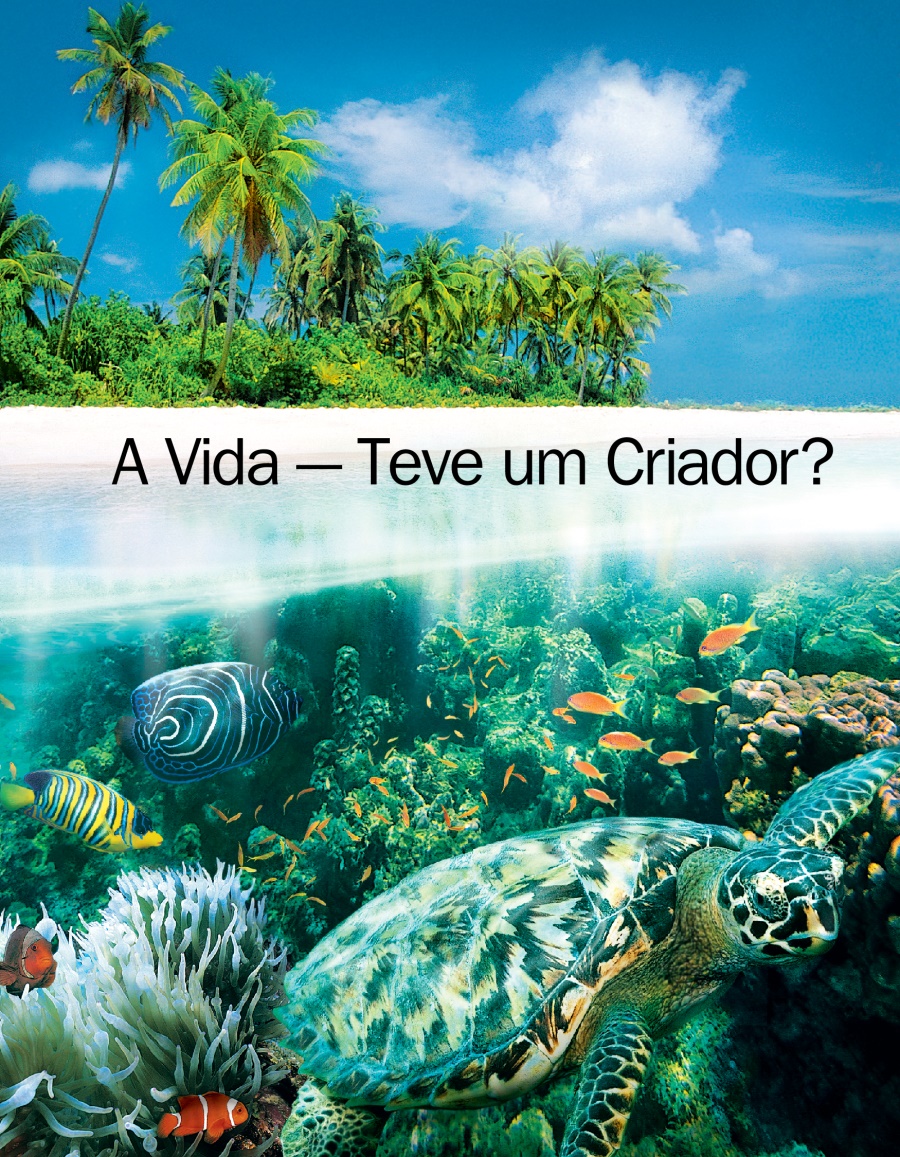 O kadivulu “A Vida — Teve Um Criador?”