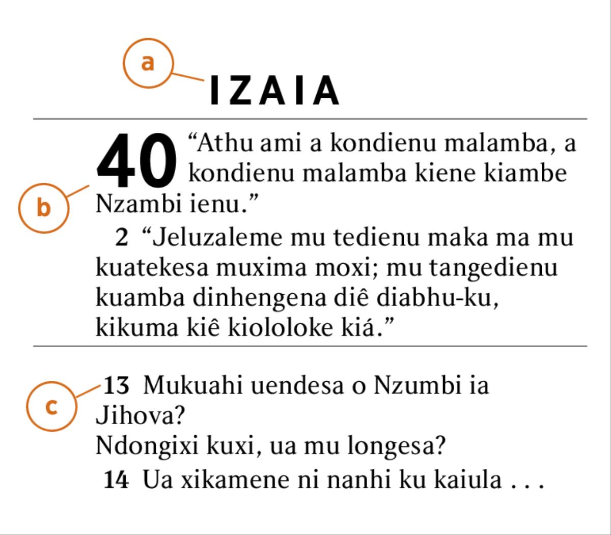 Izuelu ia Bibidia phala kulondekesa kiebhi muthu kia tena kuijiia a) o divulu dia Bibidia, b) o kibatulu ni c) velusu