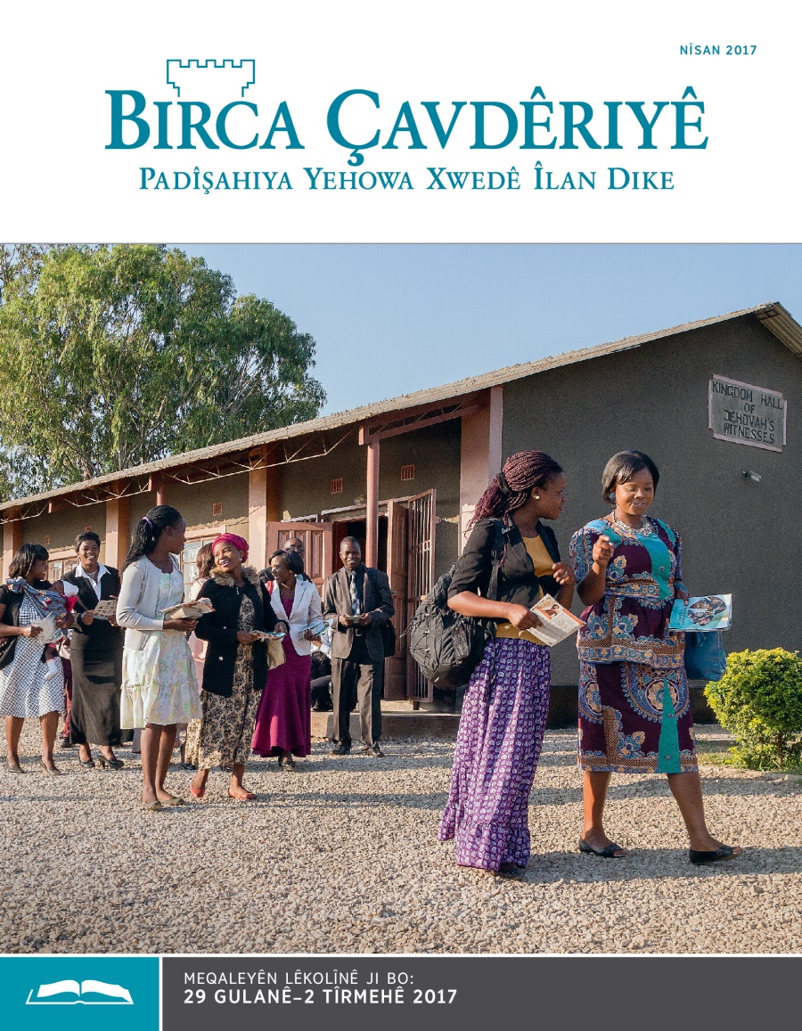 Birca Çavdêriyê çapa lêkolînê Nîsan 2017