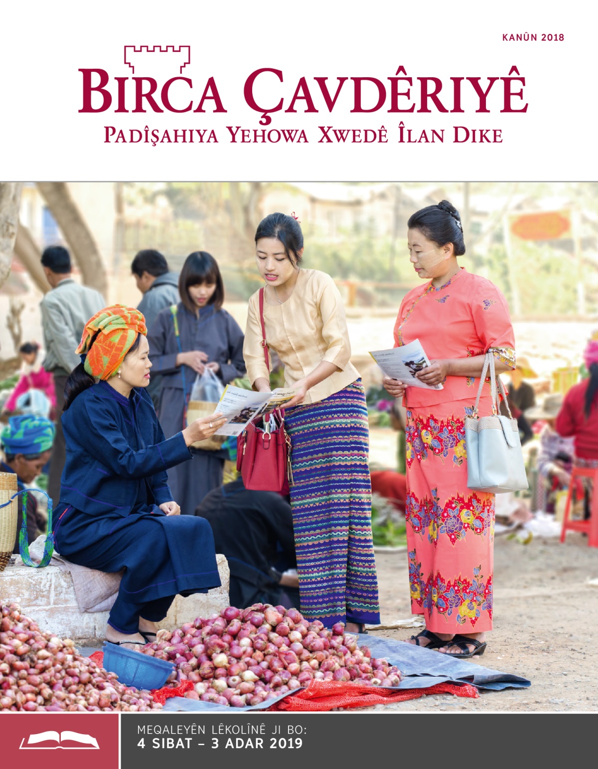 Birca Çavdêriyê – Çapa Lêkolînê, Kanûn 2018