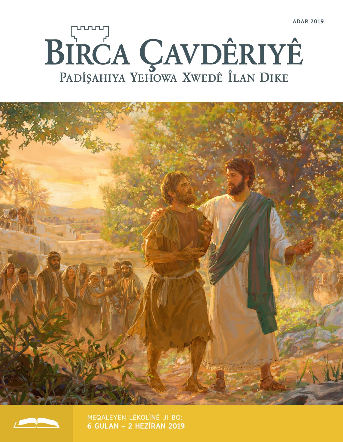 Birca Çavdêriyê – Çapa Lêkolînê, Adar 2019