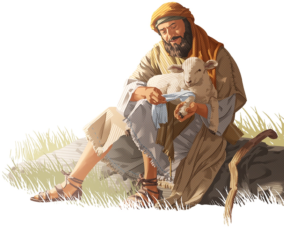 Şivan bi nazikî birîna berxê dipêçe.