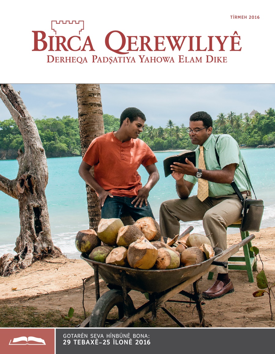 Birca Qerewiliyê bona Hînbûnê, Tîrmeh 2016