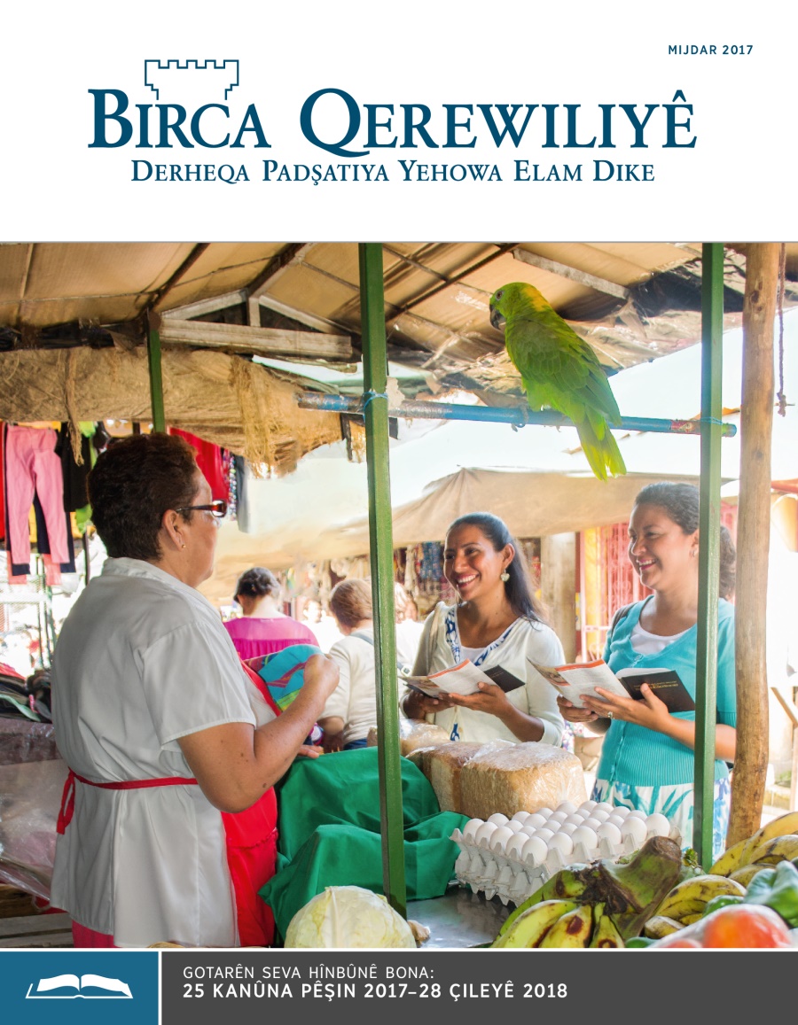 Birca Qerewiliyê Derxistina bona Hînbûnê, Mijdar 2017