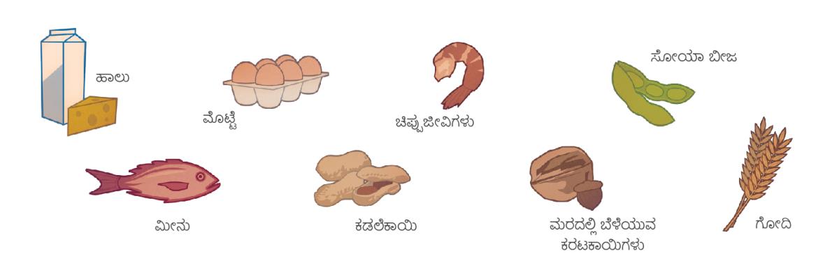 ಹಾಲು, ಮೊಟ್ಟೆ, ಚಿಪ್ಪುಜೀವಿಗಳು, ಸೋಯಾ ಬೀಜ, ಮೀನು, ಕಡಲೆಕಾಯಿ, ಮರದಲ್ಲಿ ಬೆಳೆಯುವ ಕರಟಕಾಯಿಗಳು, ಮತ್ತು ಗೋದಿ
