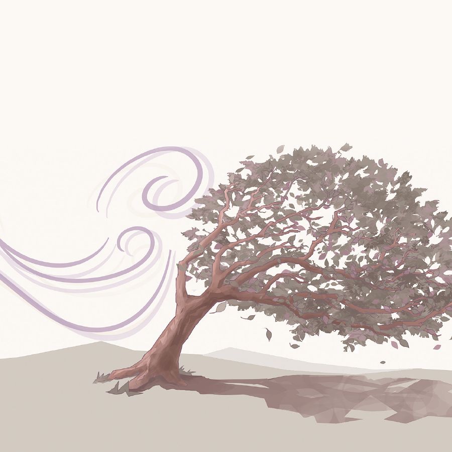 나무가 바람에 움직이는 그림