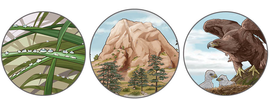 삽화 모음: 신명기 32장에 나오는 비유. 1. 풀잎에 맺힌 이슬. 2. 산처럼 거대한 견고한 반석. 3. 새끼를 보호하는 독수리.