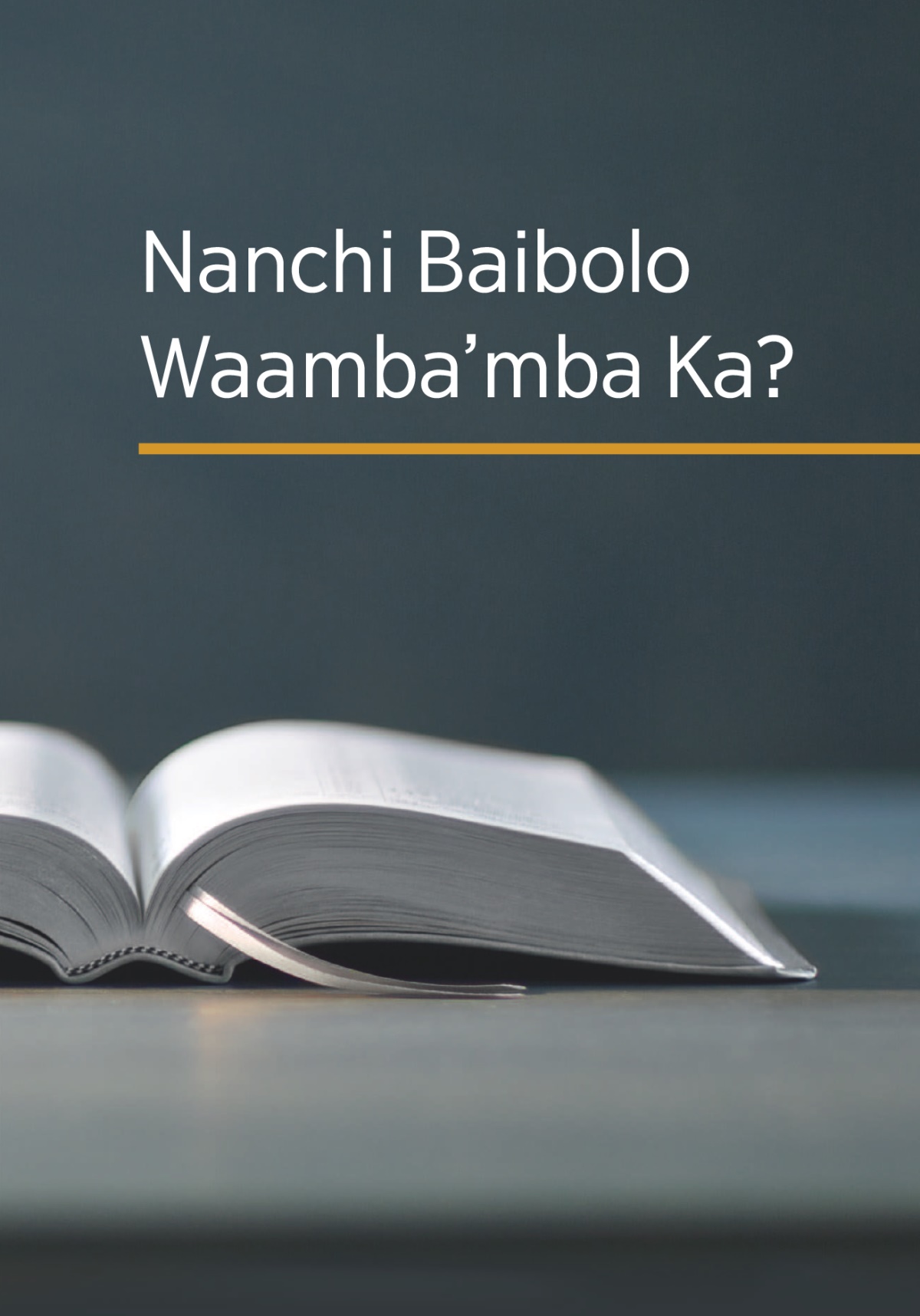 Nkupiko ya buku wa, ‘Nanchi Baibolo Waamba’mba Ka?’