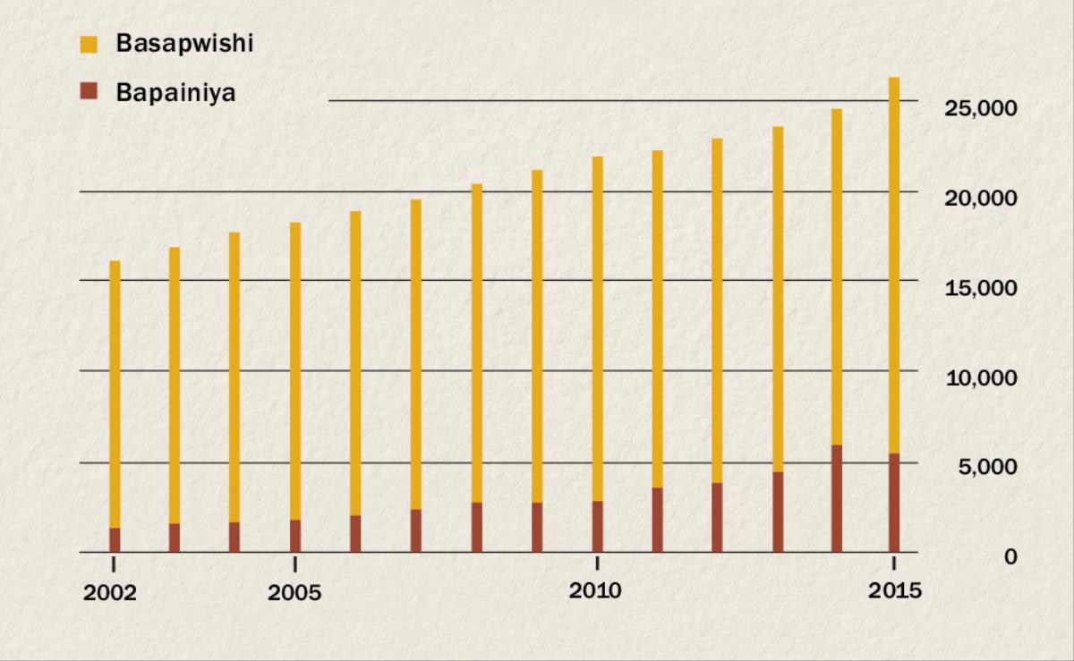 Mutanchi ubena kumwesha nambala ya basapwishi ne bapainiya mu Indonesia kufuma mu 2002 kufika mu 2015