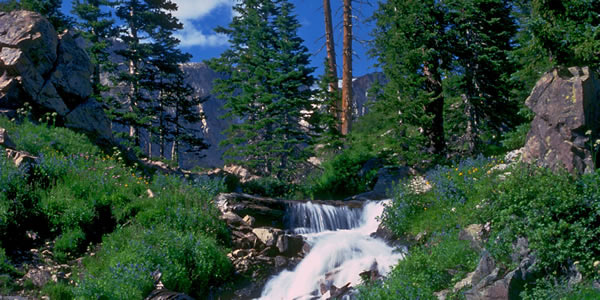 A beautiful scene of nature: clean air, pure water, clear sky